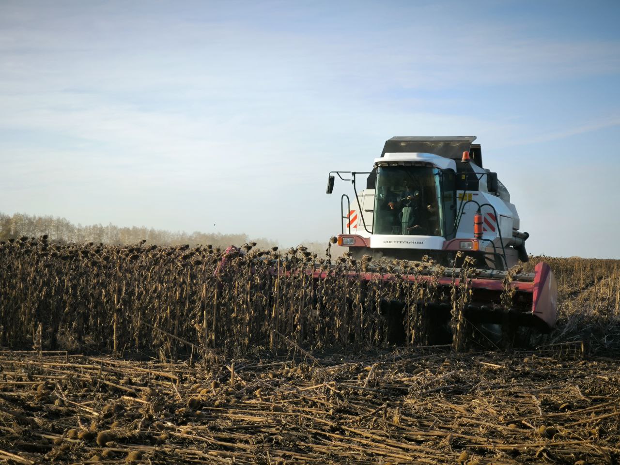 Петровский фермер хочет построить дома для своих работников
